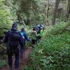 09 b Schluchensteig Etappe 4 - 6